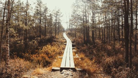 Svētdien Latvijas austrumu rajonos vietām gaidāms neliels lietus