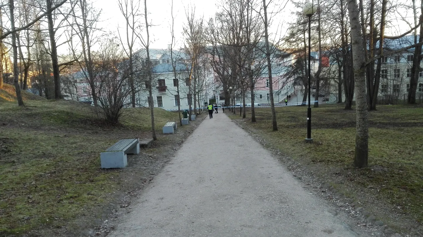 Toomemäe nõlval toimunud kakluses tapeti mees.
