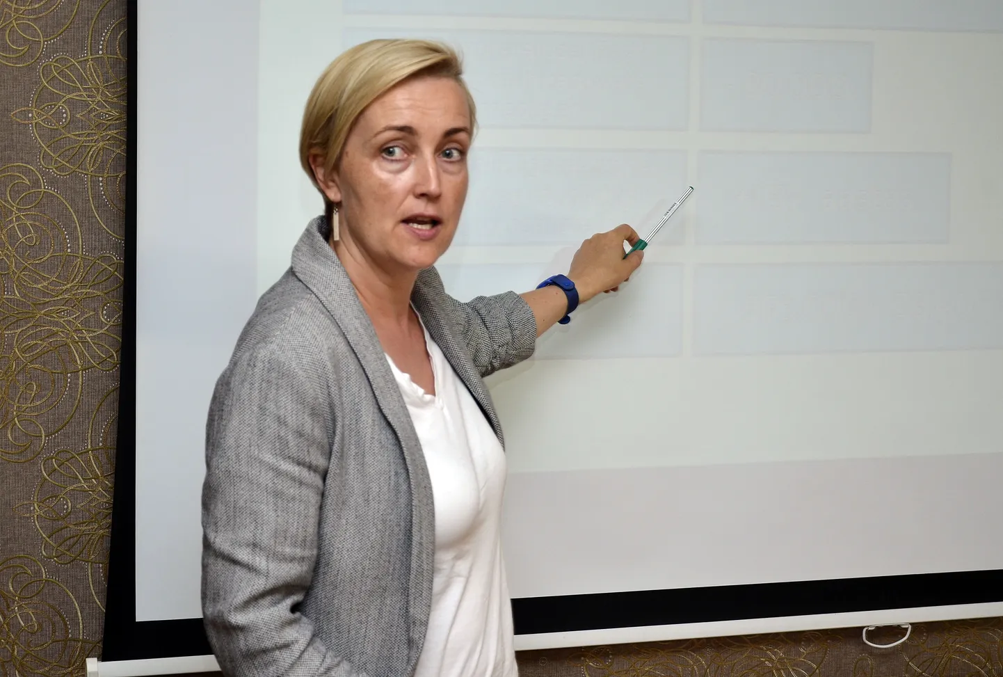 Kristina Kallas tänavu oktoobri alguses erakonna moodustamist ettevalmistaval seminaril Jõhvi kohvikus Wironia. PEETER LILLEVÄLI