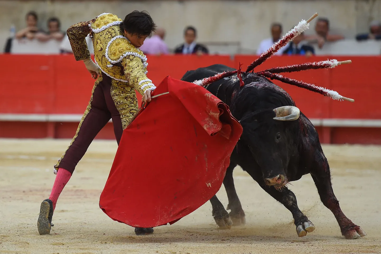 Peruu matadoor Andres Roca Rey 2019. aasta nelipüha puhul Prantsusmaal Nîmes'is peetud härjavõitlusel.