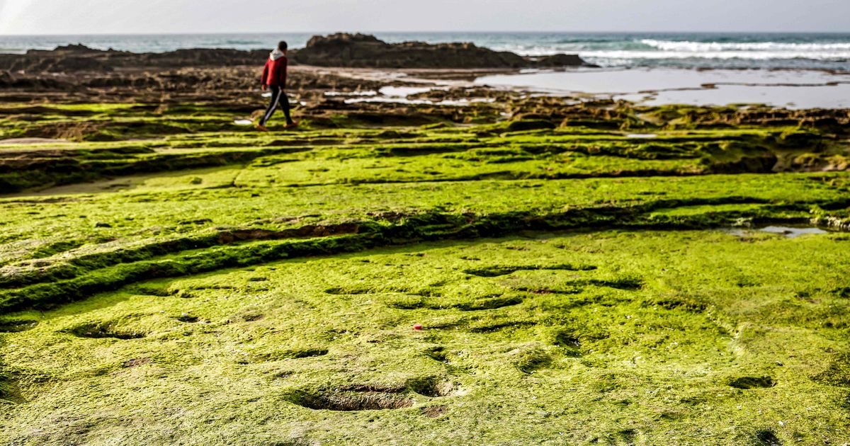 FOTOD ⟩ Teadlased leidsid Maroko rannikult 100 000 aastat vanad inimeste jalajäljed