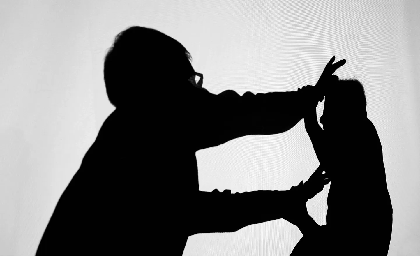 Eesti naiste tervise uuringus leiti, et mõnda uuritud seksuaalvägivalla vormi on elu jooksul kogenud 35 protsenti naistest.