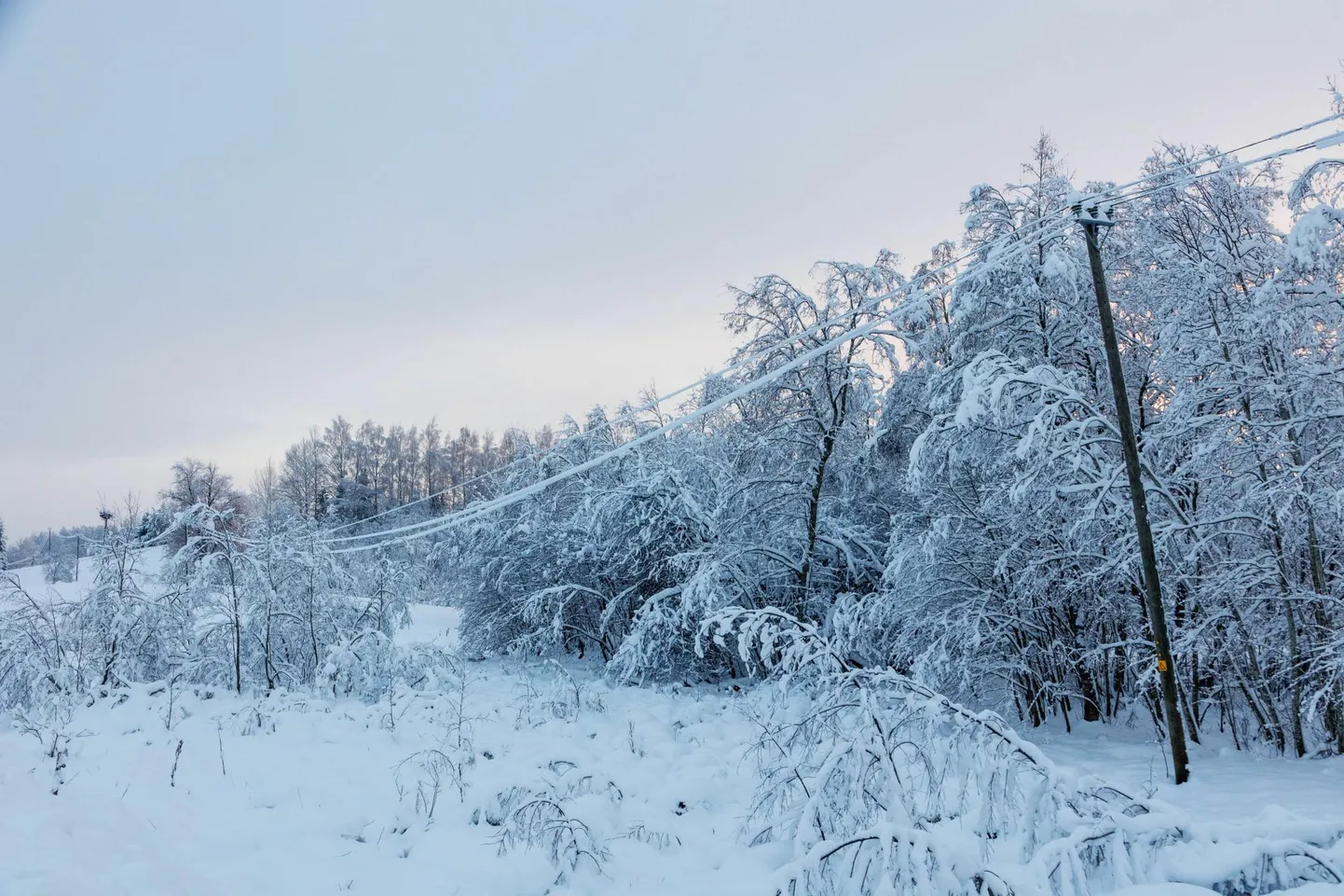 Raske lumi tekitab elektrikatkestusi.