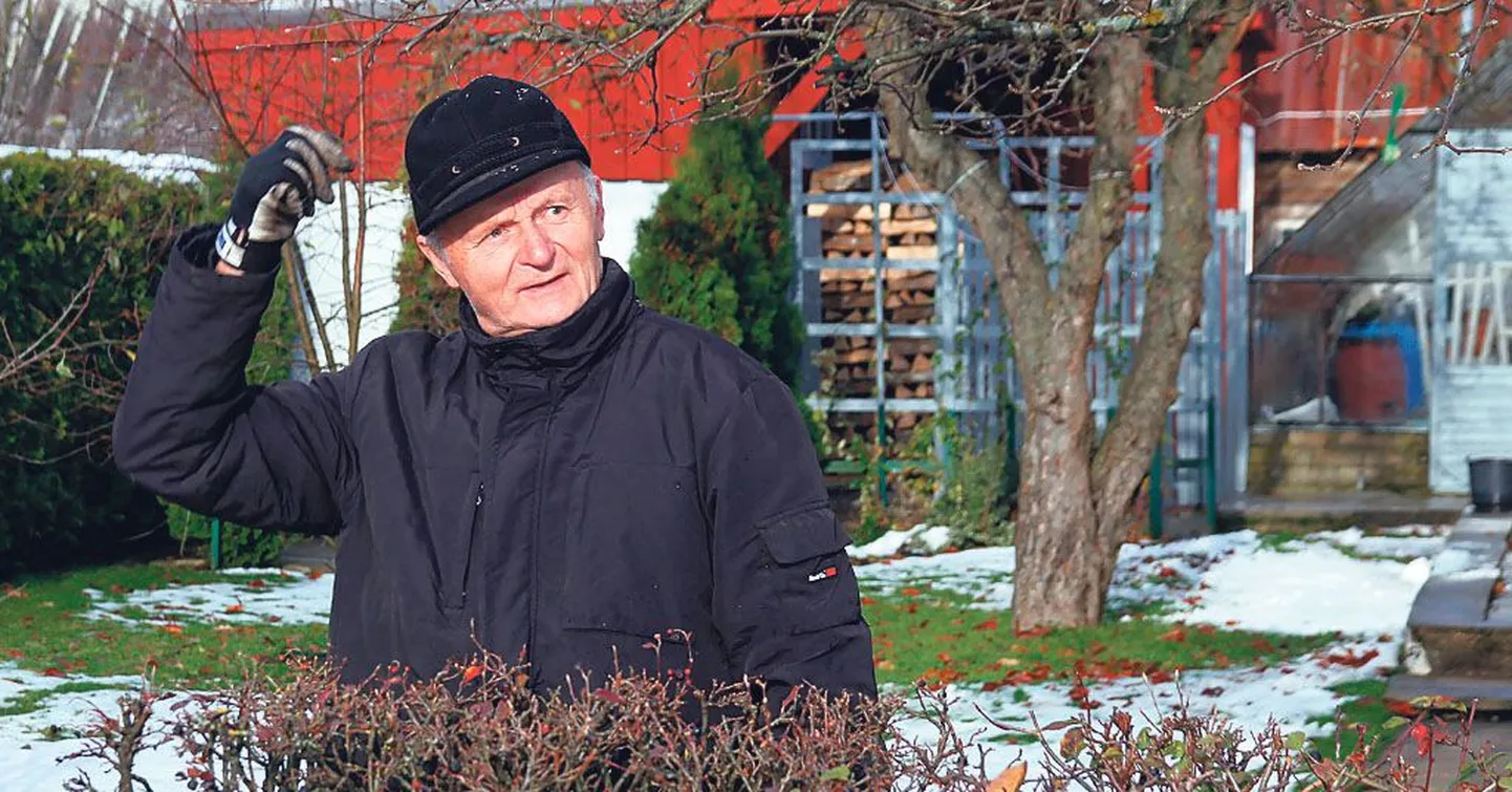 Vana-Pärnus elav Pärnu kolledži endine ärijuhtimise õppejõud Arvi Grünthal nentis, et maamaksuvabastusest saadav võit inimestele ilmselt suur rõõmu ei paku. “Maamaks laekub linnaeelarvesse ja kui see kannatab, võib hoopis mõne ootamatu tagasilöögi anda,” selgitas pensionipõlve pidav mees.