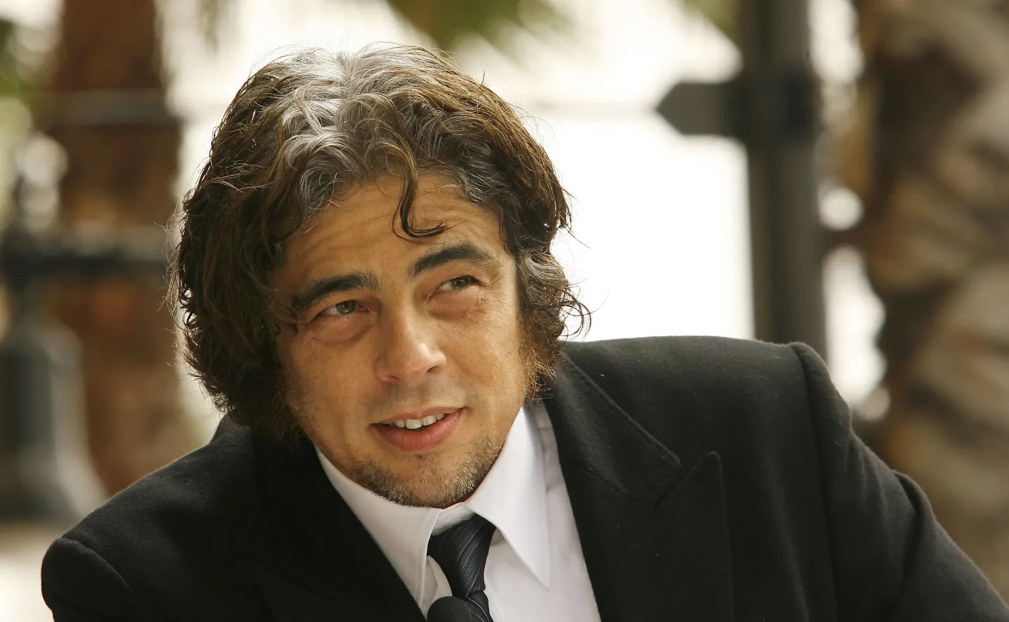 Benicio del Toro