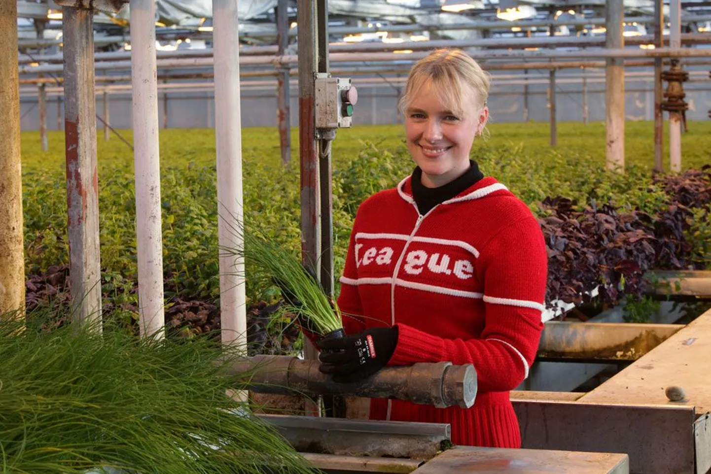 Eneli Feldmann
Grüne Fee agronoom
