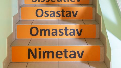 Совершенно бесплатно: дома эстонского языка в Таллинне и Нарве приглашают на языковую практику