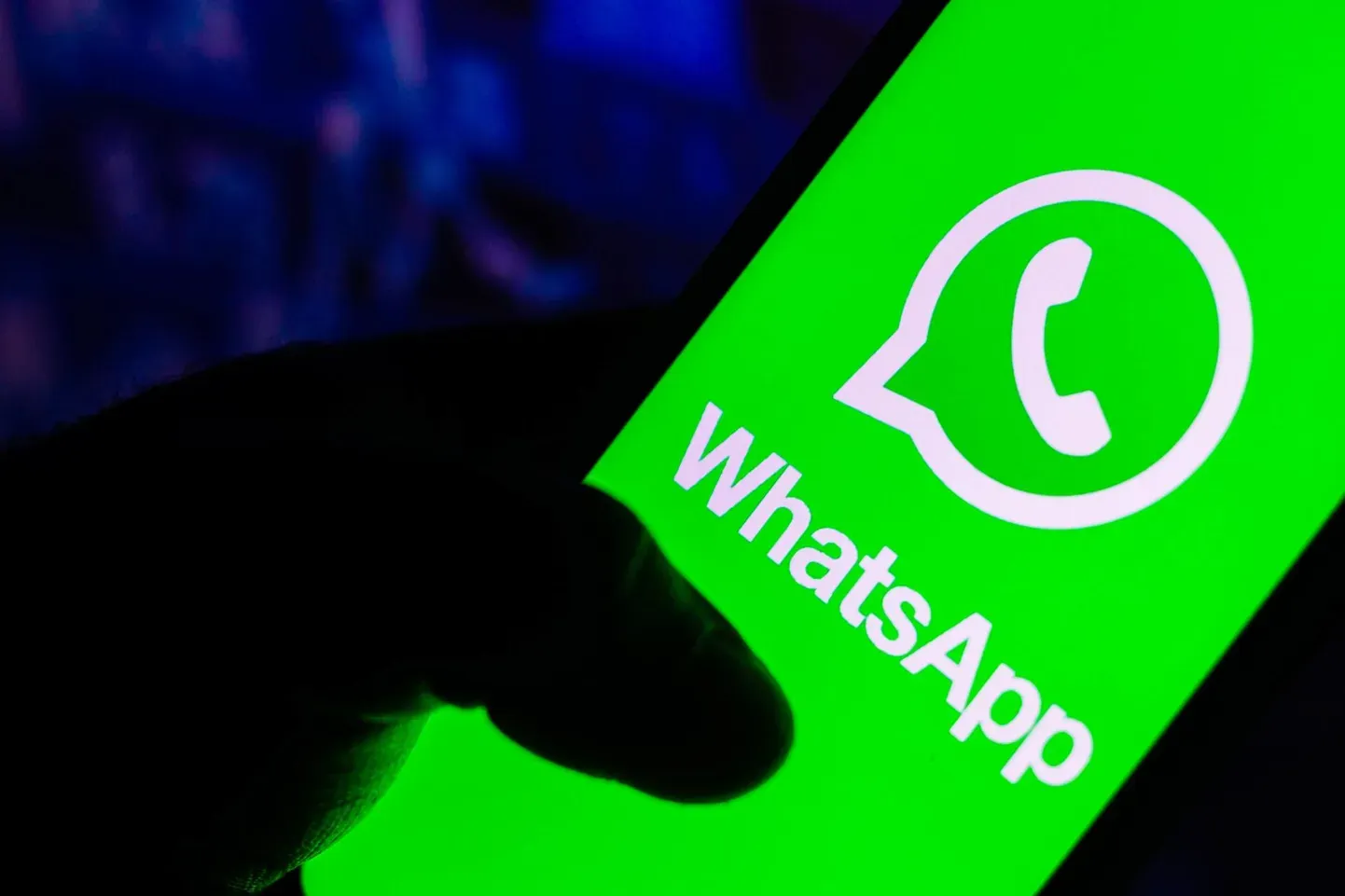 Приложение WhatsApp. Иллюстративное фото.