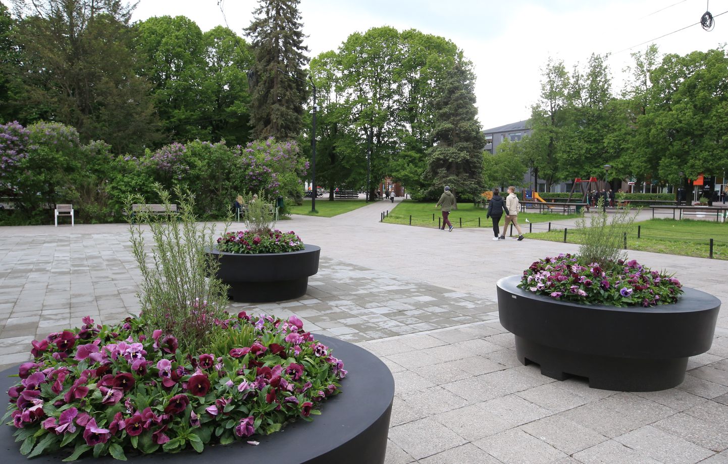 Mõne aja pärast peaks Tartu linnapilt juba oluliselt rohelisem ja õitsevam olema. Pildil keskpark eelmise aasta maikuus.