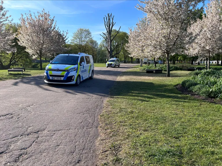 Raksta foto
