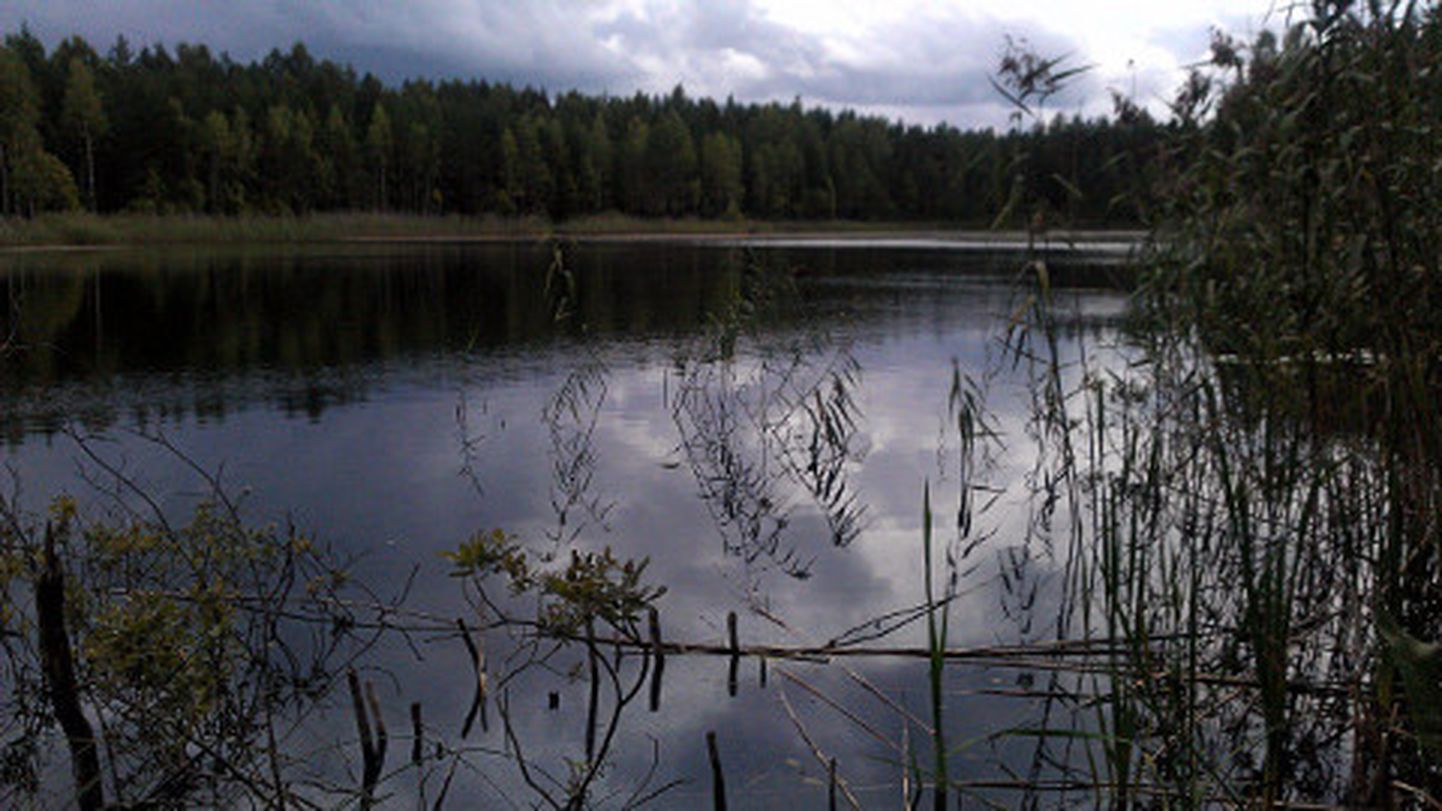 Martiska järvel on 1980. aastate veetaseme miinimumist puudu veel  vaid 64 sentimeetrit.