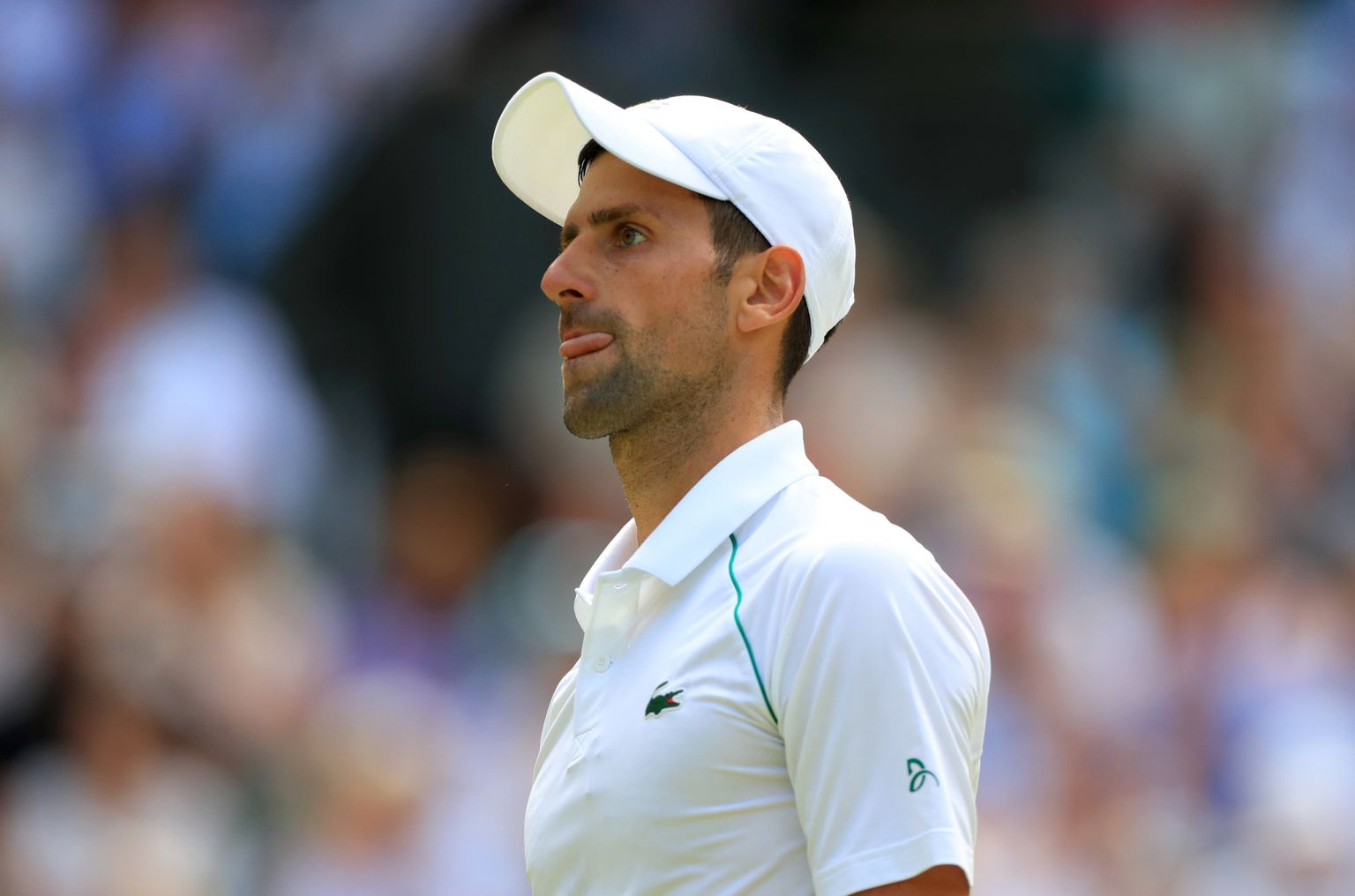 Novak Djokovic.
