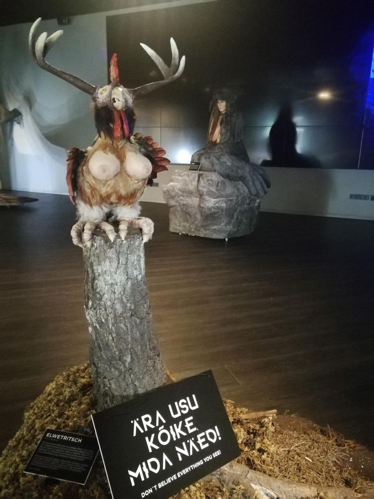 „Ära usu kõike, mida näed,” selgitab koja tegevjuht Mikk Saarela muuseumi motot sakslaste kultuurist pärineva tissidega kana juures.