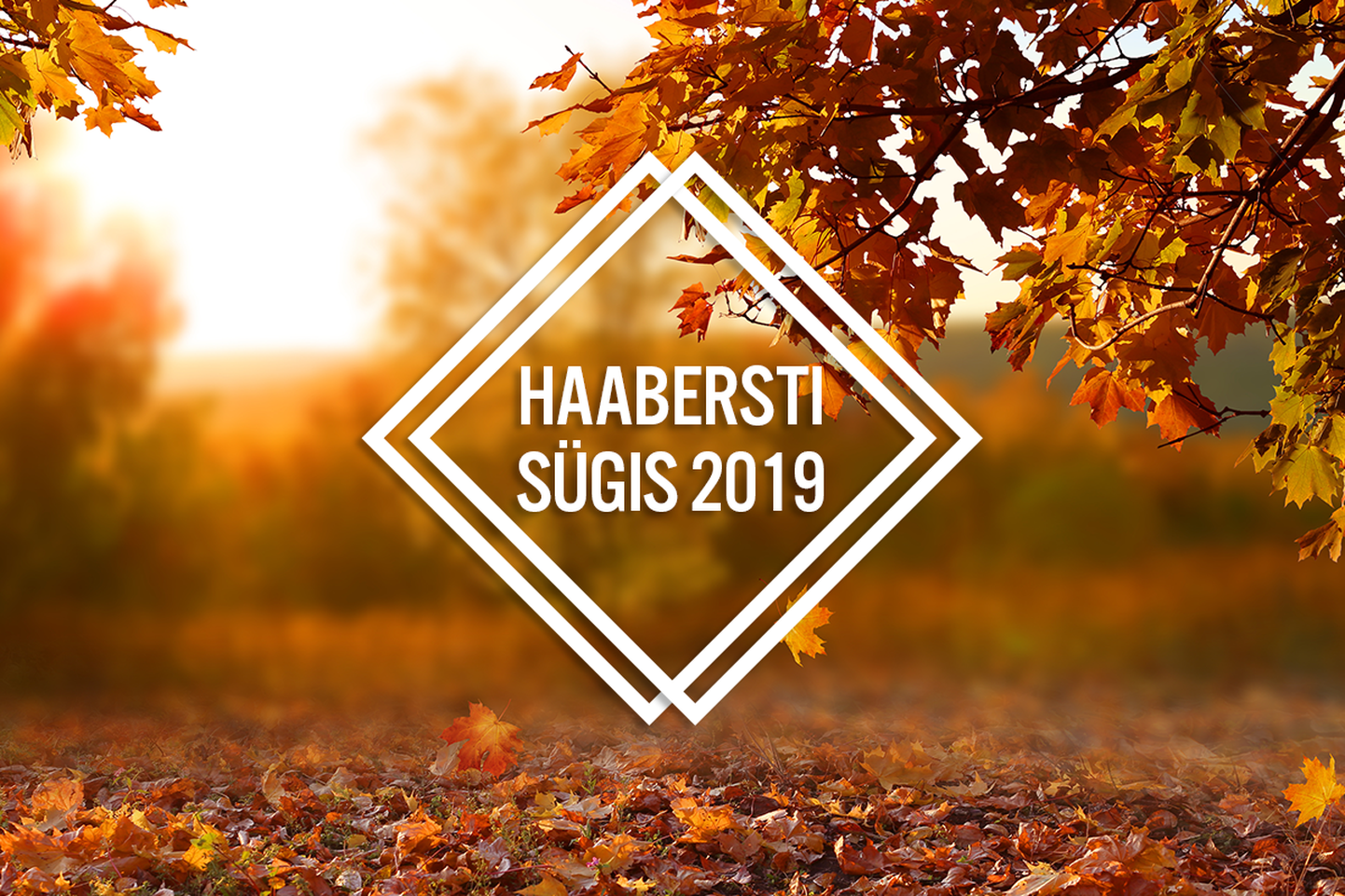 Осень в Хааберсти 2019