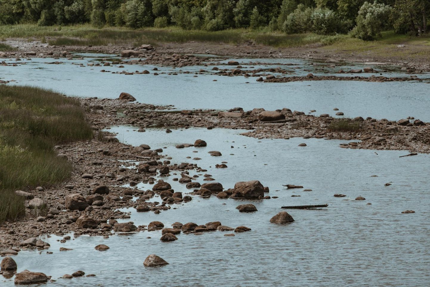 Pärnu jõe ojaks nimetamine on vee praeguse madalseisu juureski liialdus, mis sest, et paisjärv on alla lastud.