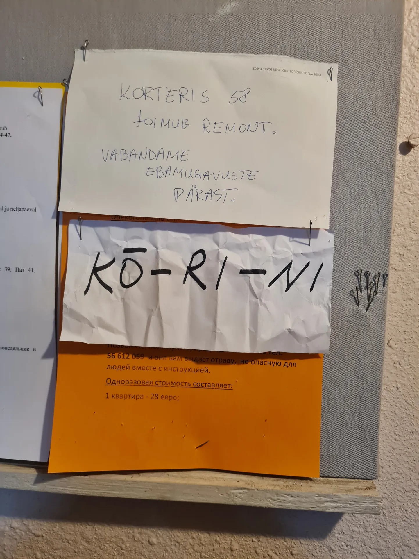 Artikli foto