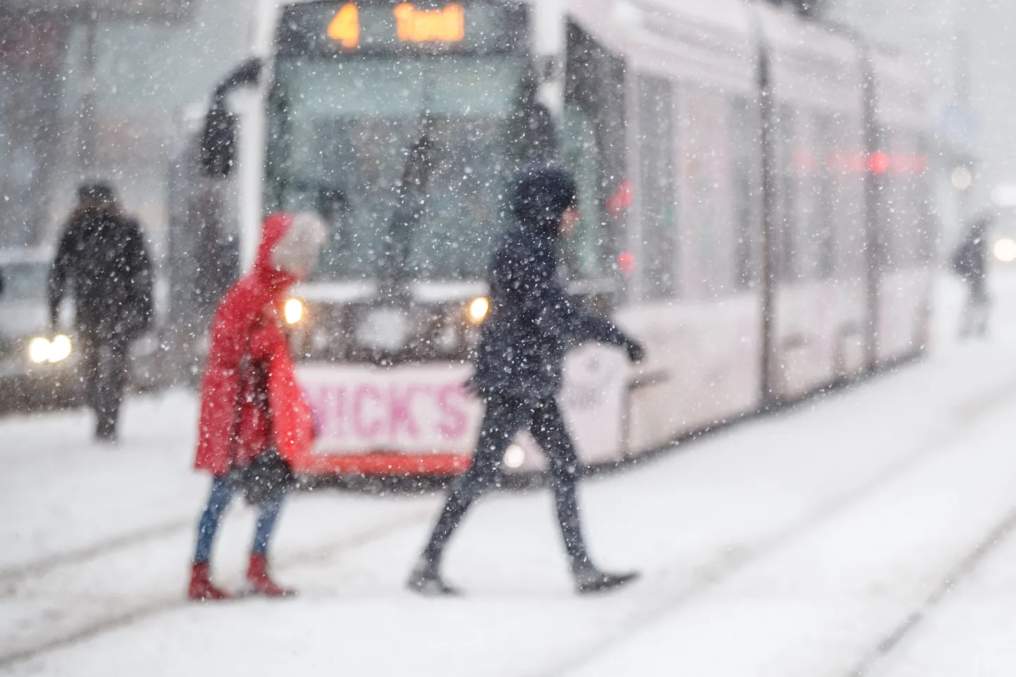 Lumesadu Tallinna südalinnas