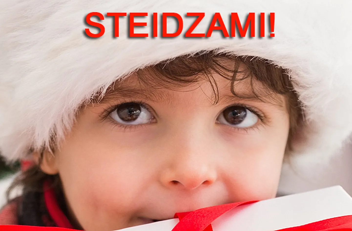 Raksta foto