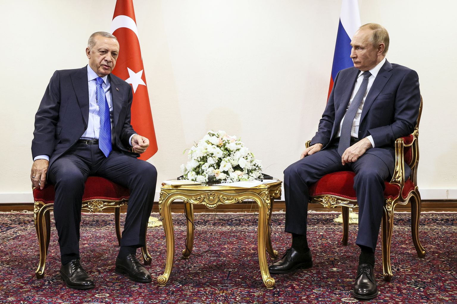 Президент Турции Реджеп Тайип Эрдоган беседует с президентом России Владимиром Путиным в Тегеране.