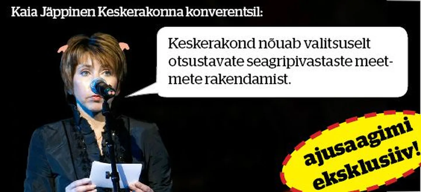 Kaia Jäppinen konverentsil.