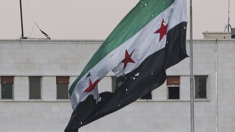 В Сирии пройдут первые после свержения Асада выборы