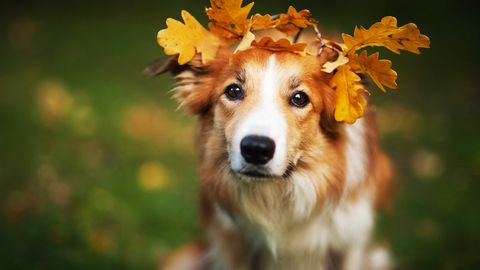 V petek v Latviji med oblaki pričakovati sonce, ponoči pa ponekod dež
