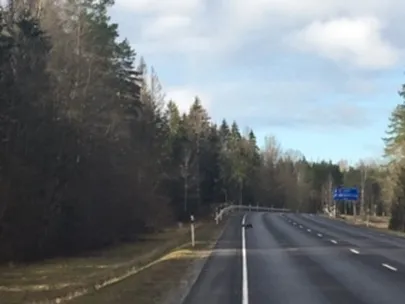 Медвежонок переходит дорогу.