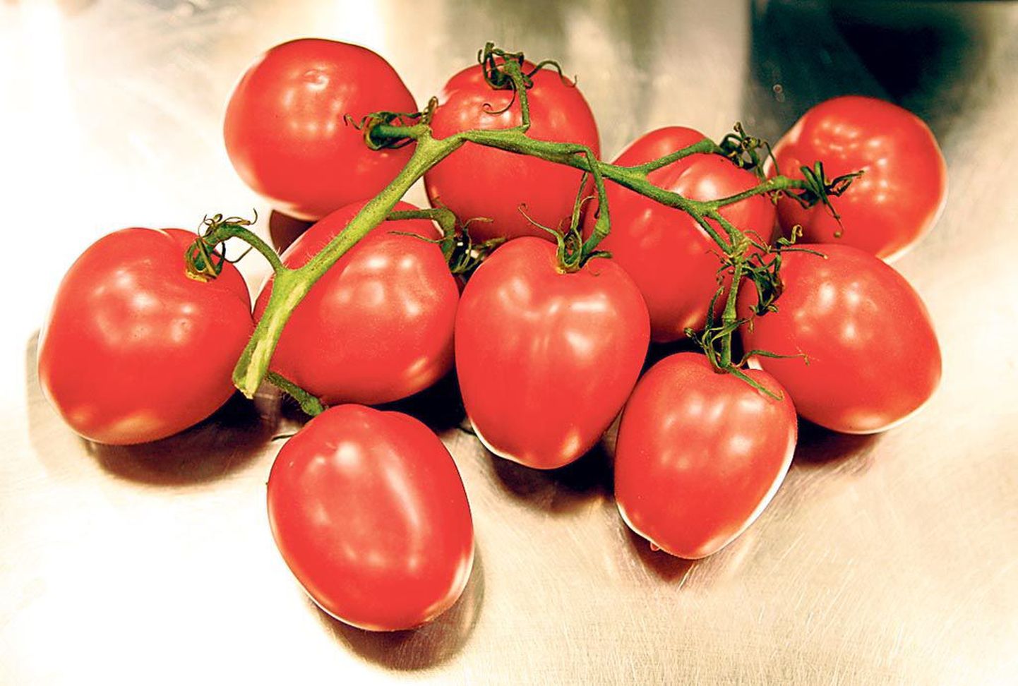 Briti teadlaste hinnangul on tomat inimese organismile kõige kasulikum toiduaine.