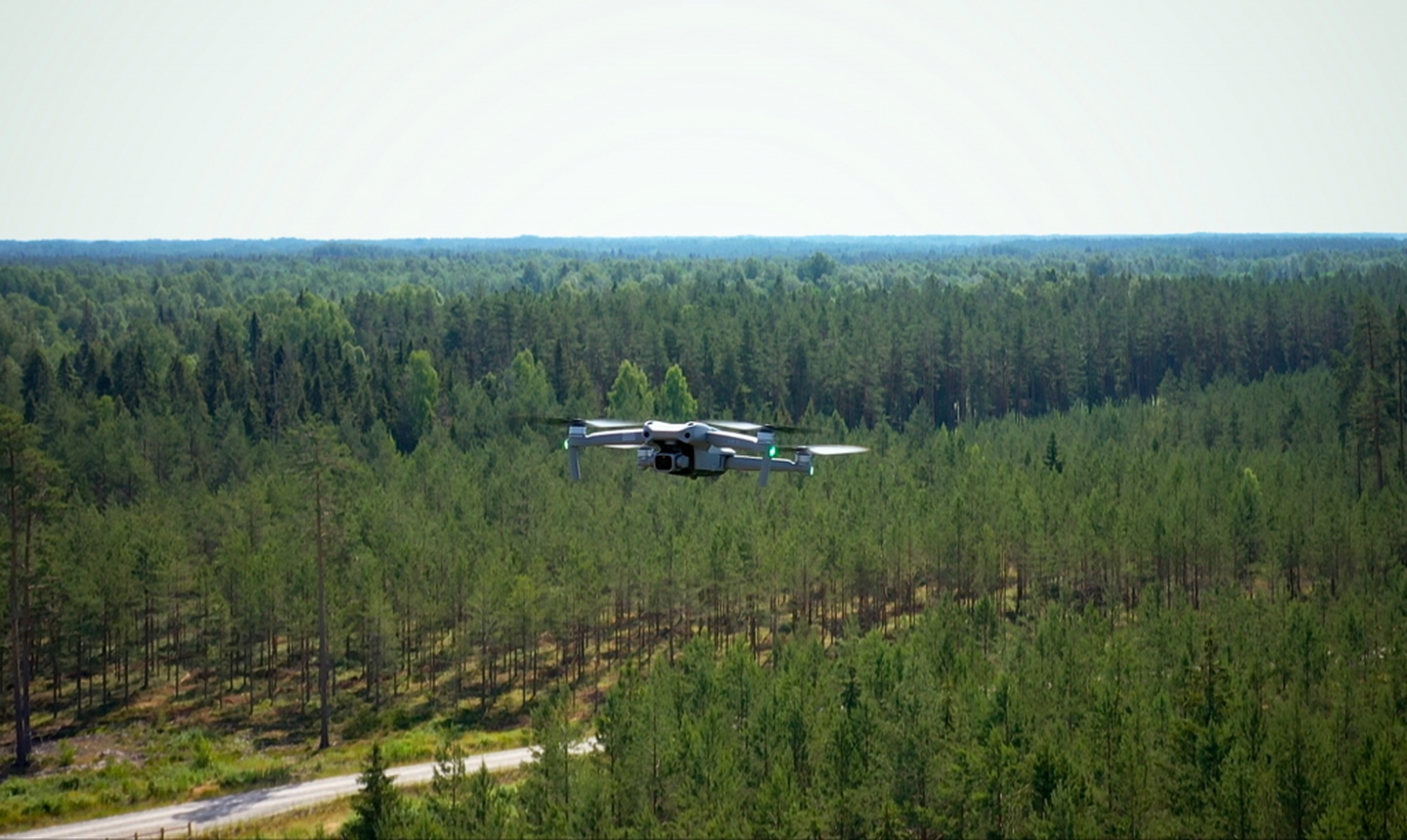 Drons virs meža.