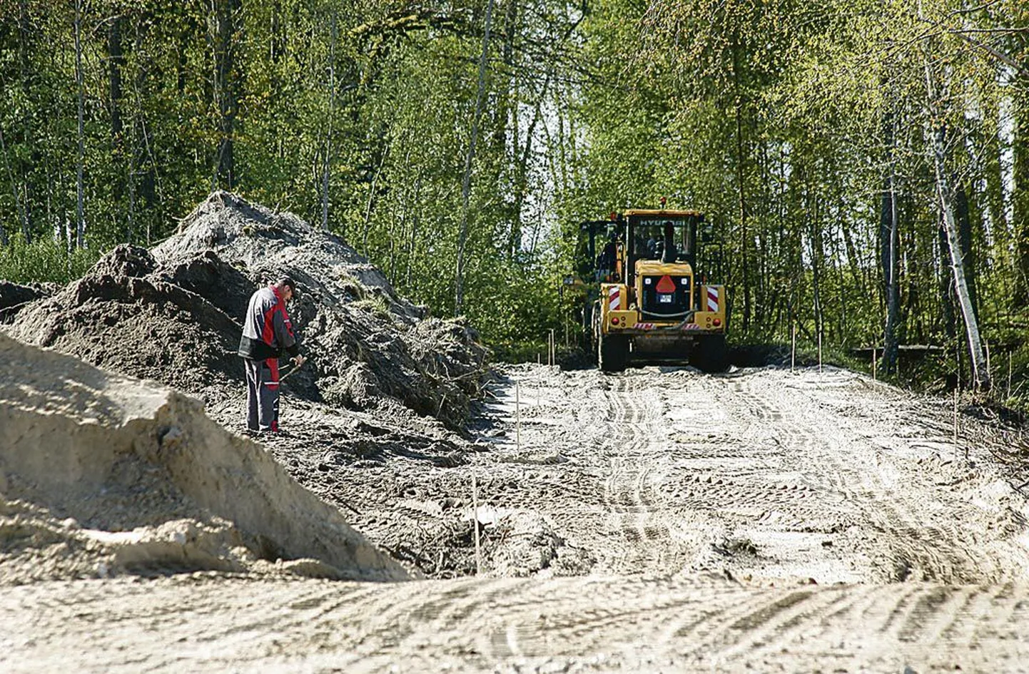 Valgeranda viiv jalutustee kulgeb parklast läbi metsatuka rannaliivale.