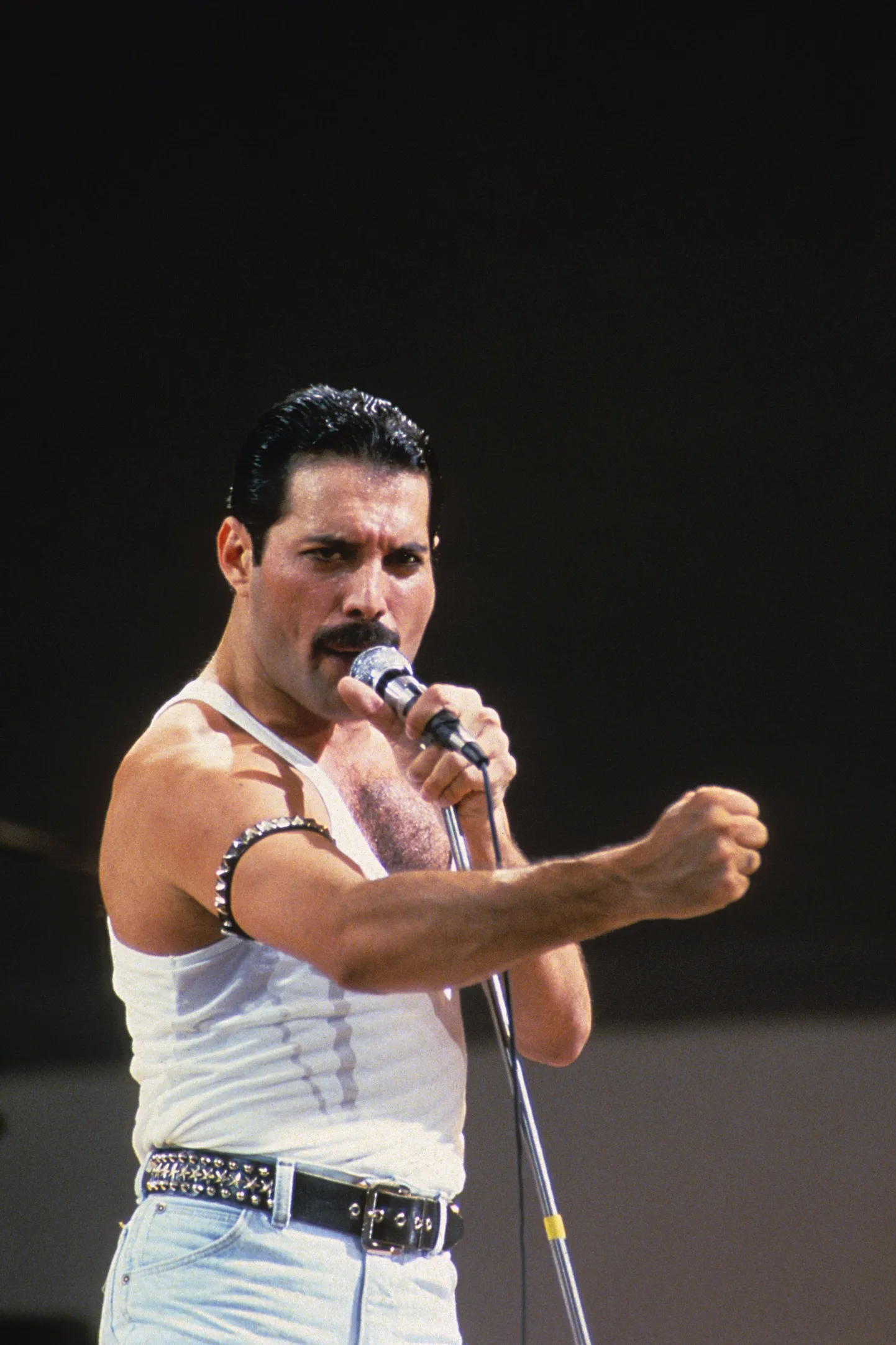 Muusik Freddie Mercury.