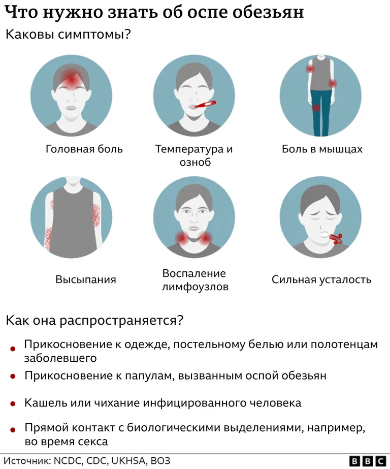Фото статьи