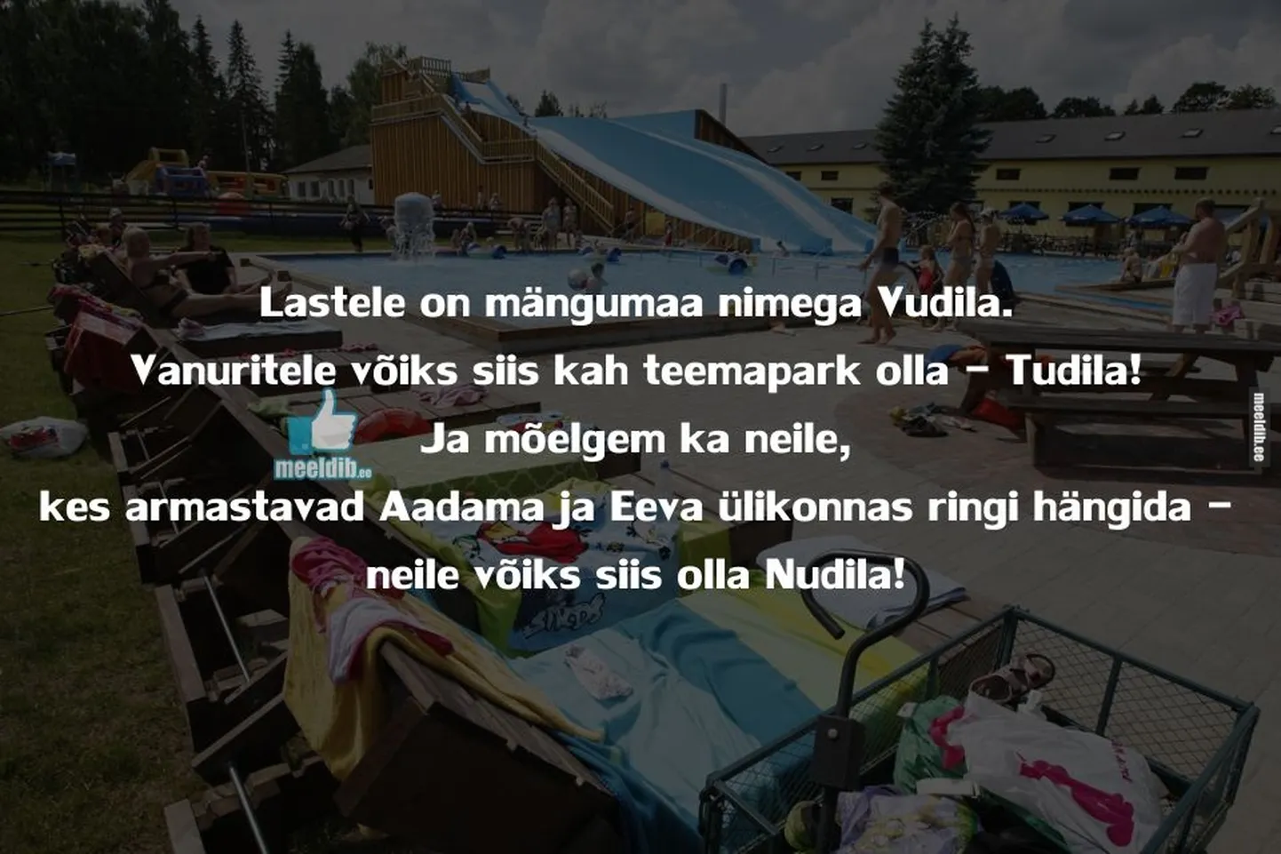 Artikli foto