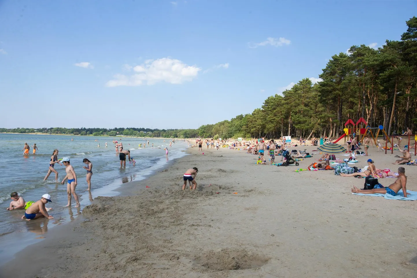 Ka Pirita rannas on tänavu tuvastatud koolerapisik.