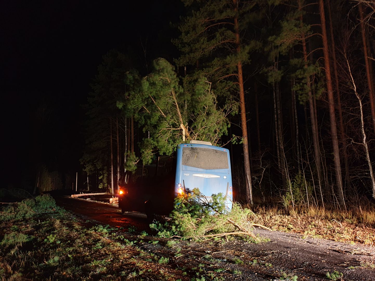 Вблизи Выртсъярве дерево упало на автобус.