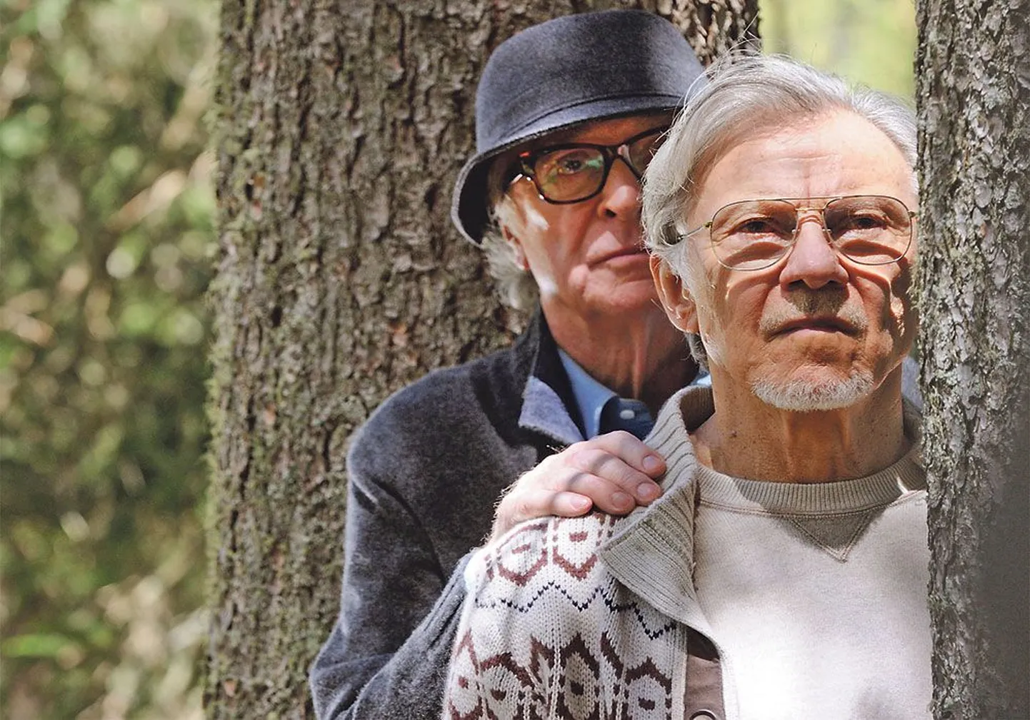 Старики-разбойники: композитор Фред (Майкл Кейн) и режиссер Мик (Харви Кейтель), 
легенды своего времени, наблюдают 
за течением жизни.