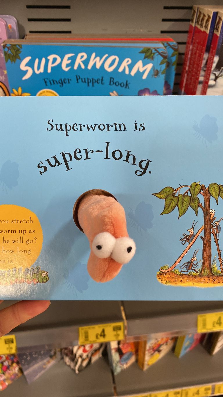 Julia Donaldsoni ja Axel Scheffleri pildiraamat «Superworm» («Superuss»).
