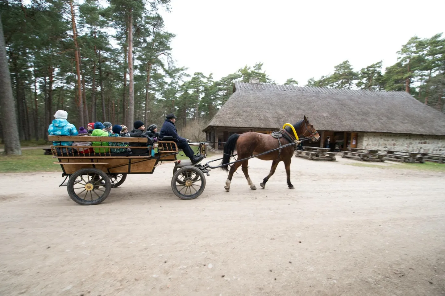 Kommentaarium visati lausa nalja, et Jõgevamaal sõidavad inimesed veel hobustega. Foto on siiski tehtud vabaõhumuuseumis.