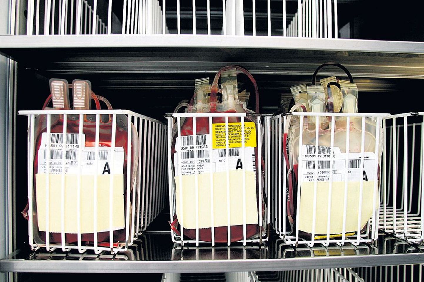 Kliinikumi verekeskus on praegu on alla 250 doosi verd. Pildil erütrotsüütide kotikesed.
