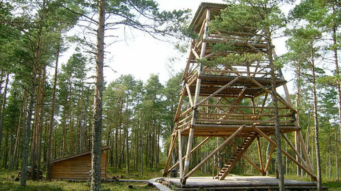 Oma hiilgeaegadel uhkena kõrgunud Selisoo vaatetorn hakkas juba mullu kreeni vajuma ja kukkus tänavu kevadel sootuks ümber.