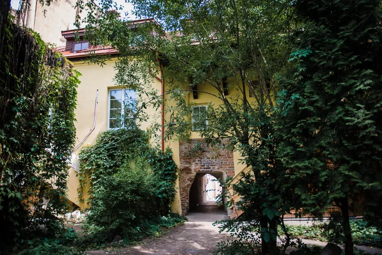 Raksta foto