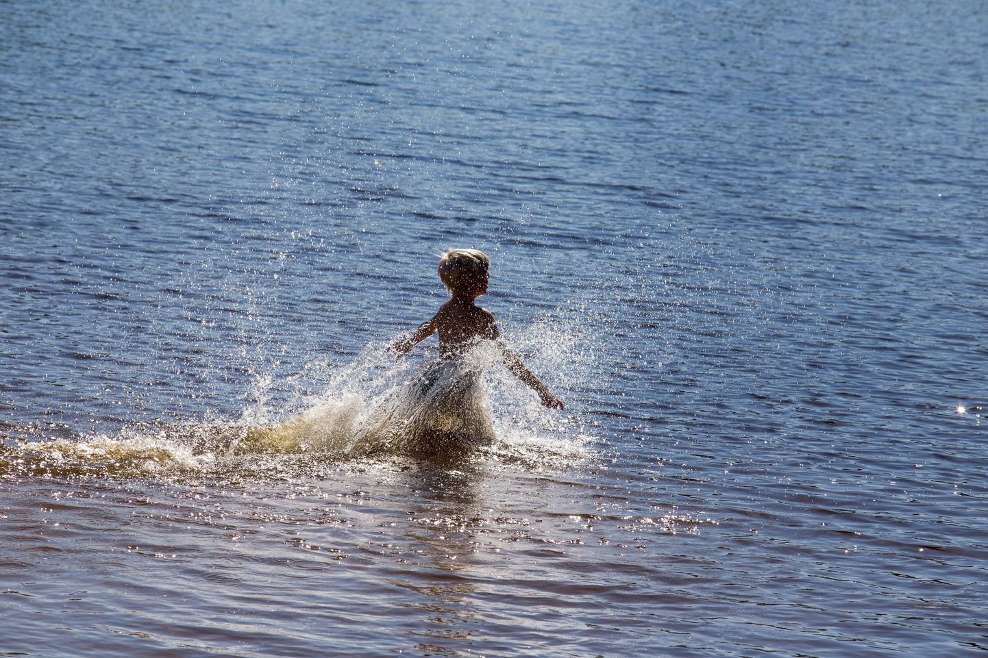 Ujuv poiss Paala järves.