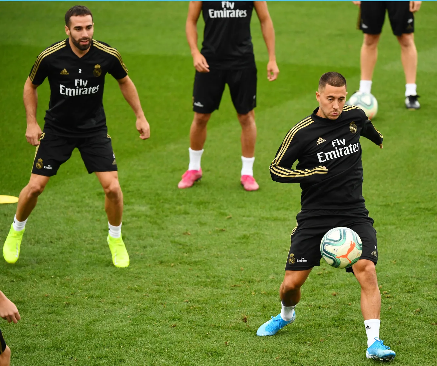 Eden Hazard (palliga).