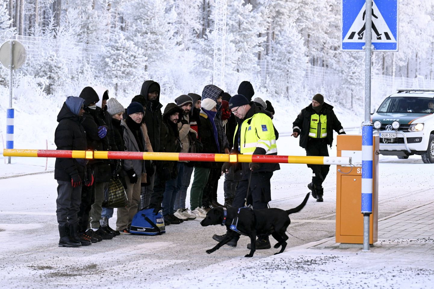 Мигранты смотрят на собаку финского пограничника на международном пограничном переходе в Салле, северная Финляндия, 22 ноября 2023 года.