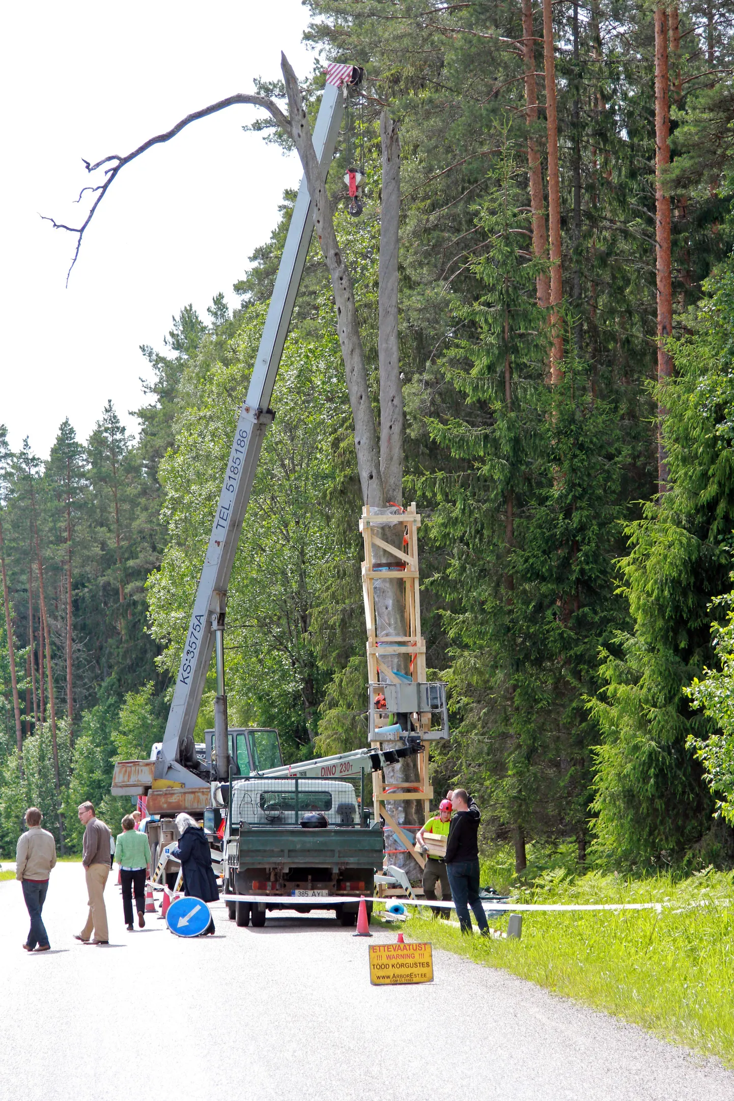 Laatre ristimändi kujutav jäädvustus pealkirjaga "Laatre ristipettäi läheb ERMi" sai 2014. aastal eriauhinna ristipuude kategoorias.