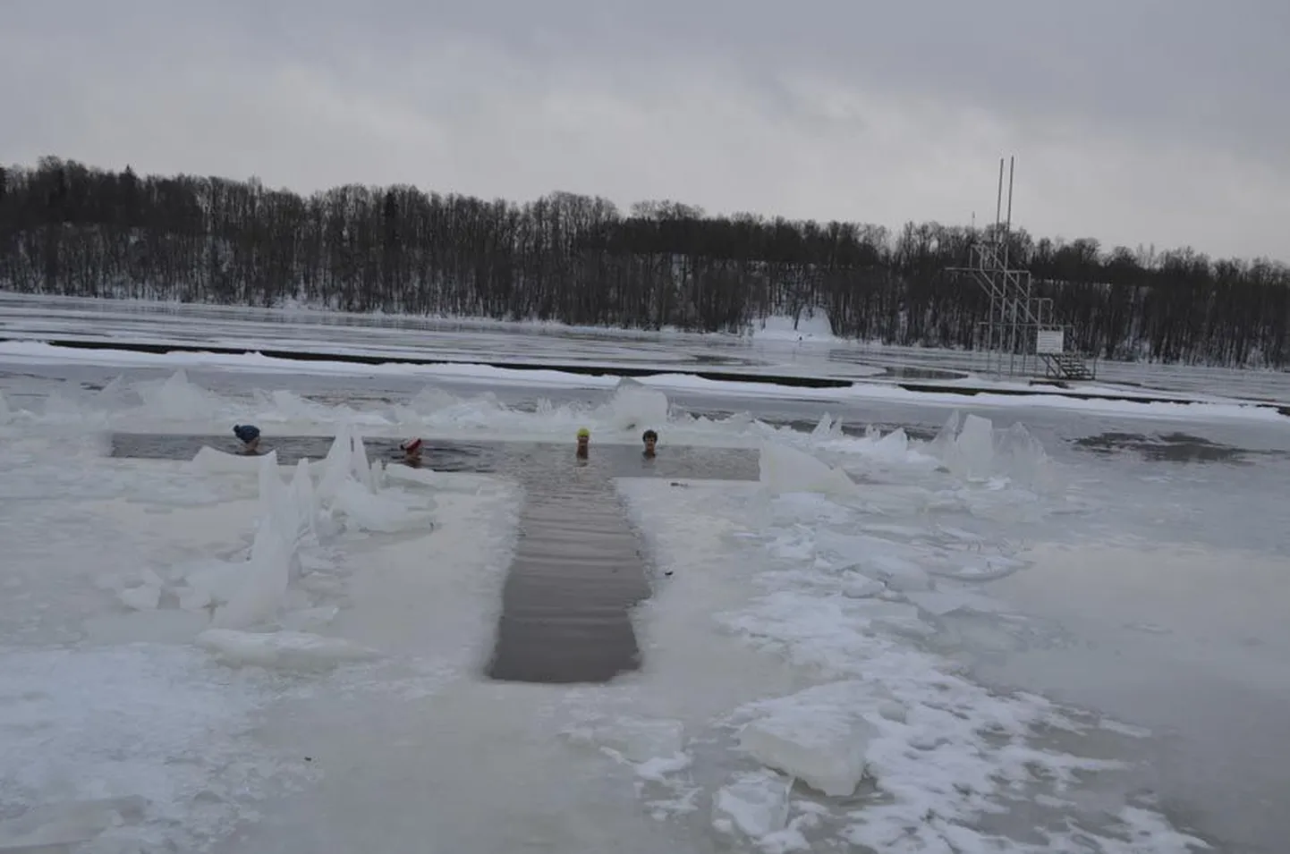 Viis talisuplejat karastavad end nädalavahetustel Viljandi järves. Fotol on (vasakult) sinise mütsiga Tiia Jakobson, punasekirju mütsiga Piret Jago, helerohelise mütsiga Priit-Mihkel Pihu ja mütsita Jaagup Pihu. Pildi on teinud viies talisupleja Kristjan Lee.