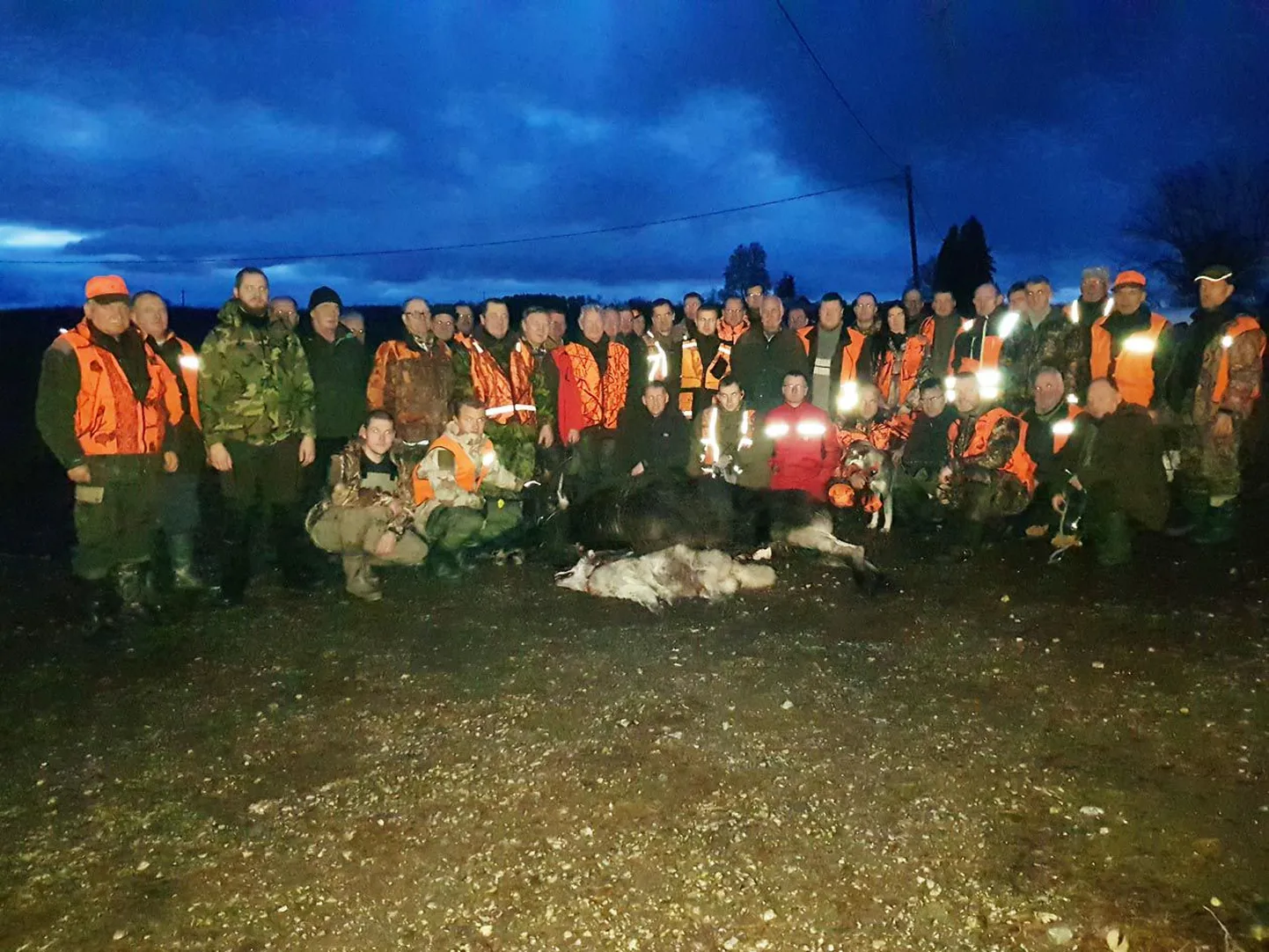 Seekordse Järvamaa jahindusklubi ühisjahil Koigi jahtkonna maadel langesid saagiks nooruke hunt ja põdrapull. Osales 55 jahimeest.