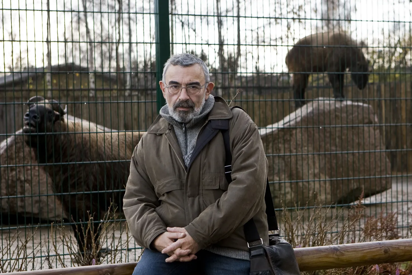 Aleksei Turovski