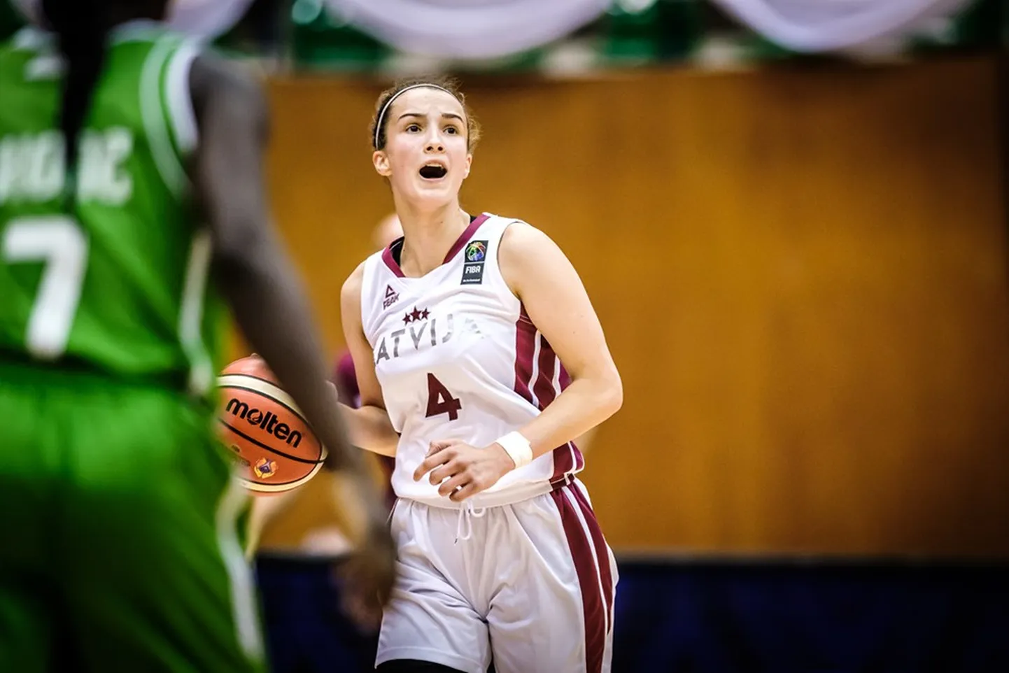 Nikola Ozola