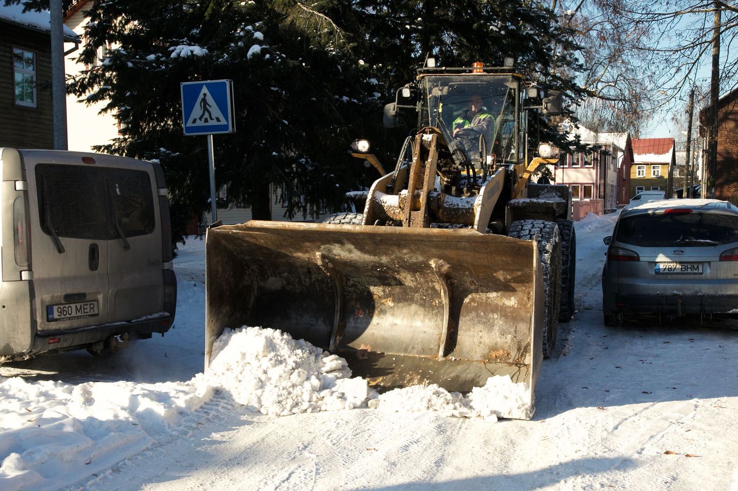 Lumekoristus Tartu linnas.